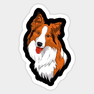 Urban Canine Carousel Border Collie Delight, Tee Triumphs Sticker